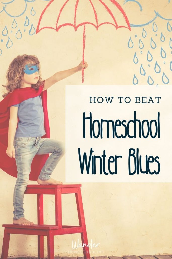 beat the homeschool winter blues