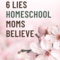 lies homeschool moms believe