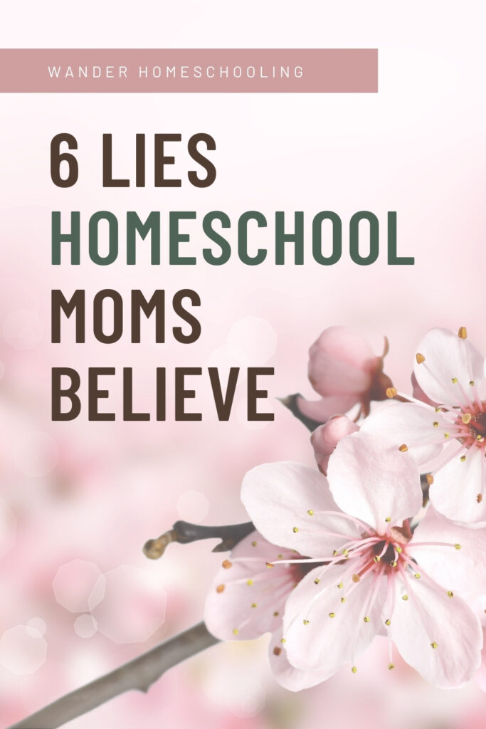 lies homeschool moms believe